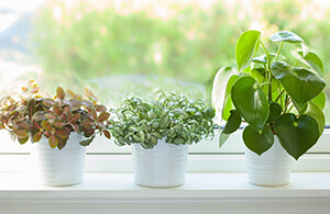 Ways to keep indoor air deals clean